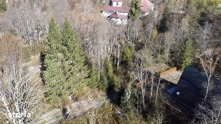 Teren de 3600 mp, în Zăvoi