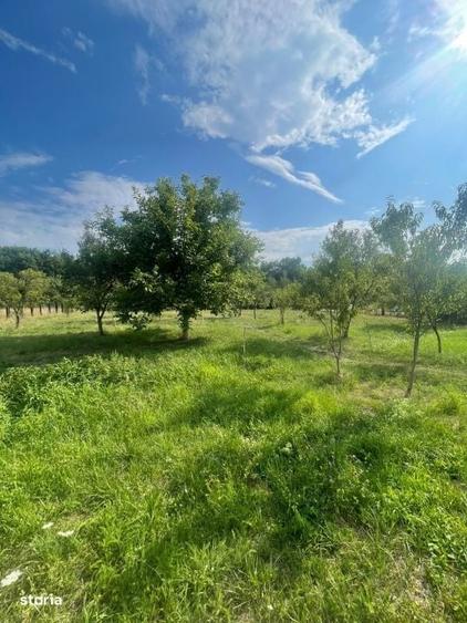 Teren intravilan, 25 ari, zona Tauti de Sus - 5
