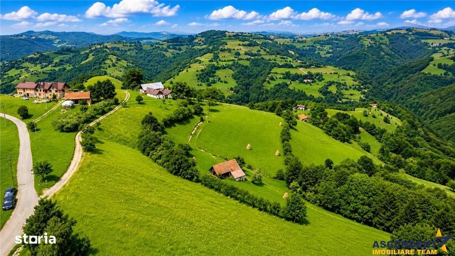 Spațiu comercial, în Poiana Mărului