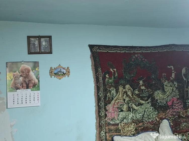 Casă cu 3 camere în Valea