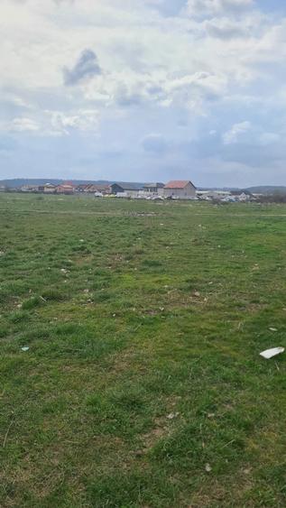 Teren de 6038 mp, în Popoveni