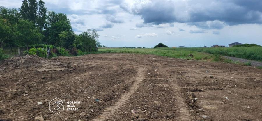Teren intravilan curti constructii, Sacalaz, Timis - 1
