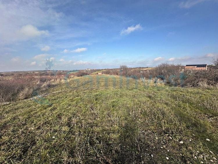 Teren agricol extravilan de 2949 mp, în Episcopia Bihorului