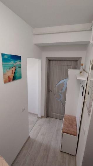 Garsoniera de vanzare 25m2, etaj 1, Turnisor,cartierul Alma, Sibiu - 4
