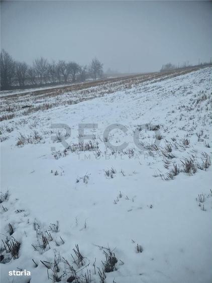 Teren de 17167 mp, în Girișu de Criș