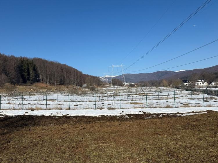 Teren Construcții intravilan de 4521 mp, în Valea Doftanei