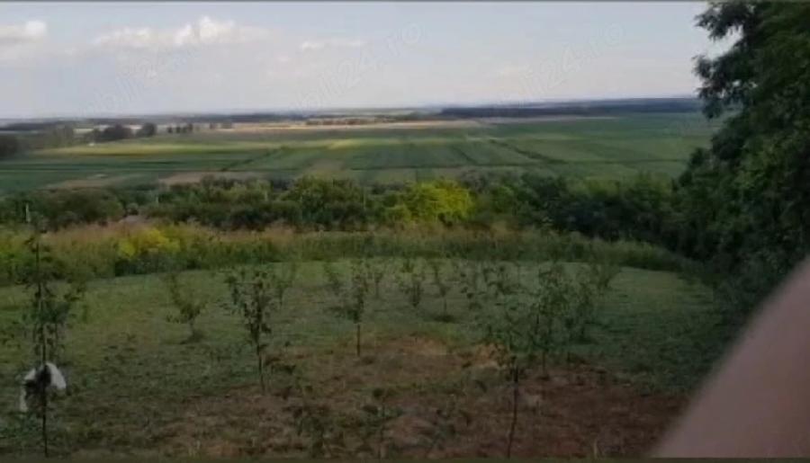 Teren de 1000 mp, în Puieni