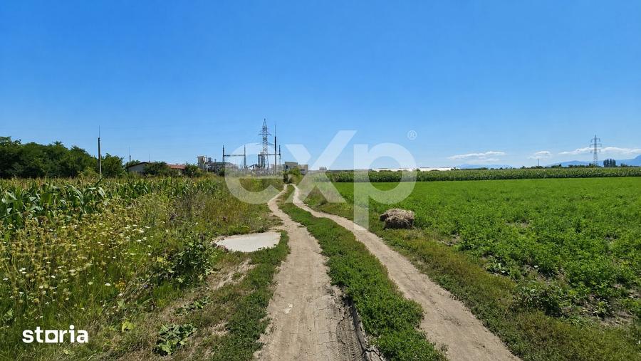 Teren de 17204 mp, în Stupini