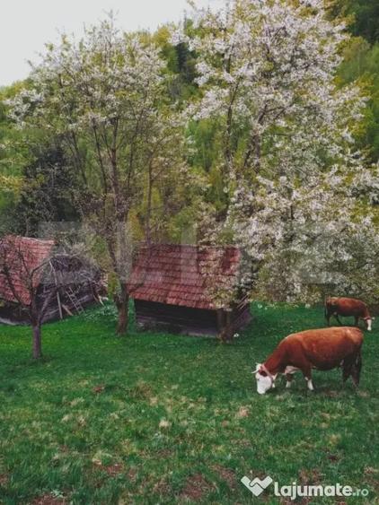 Teren intravilan agricol in Bran - Brasov - 1