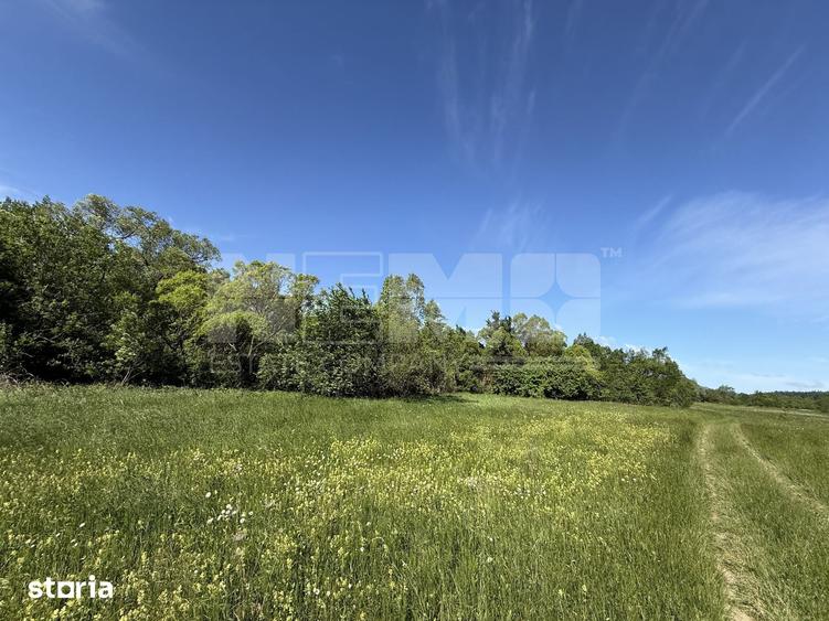 Teren de 2300 mp, în Horodnic
