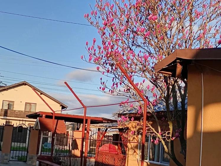 Casă cu 5 camere cu Teren 742 Mp în Brătășanca