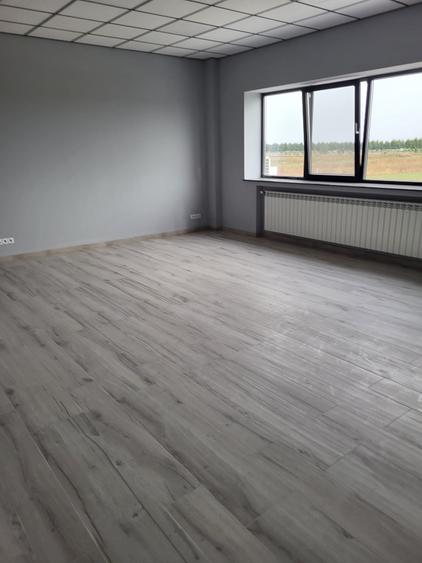 Spațiu comercial, de 735 mp, în Balotești
