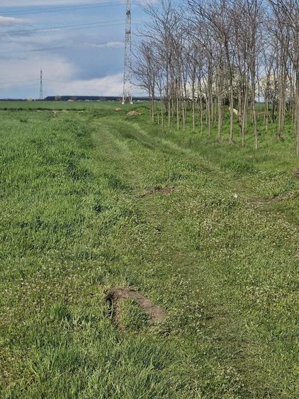 Teren de 1800 mp, în Valea Argovei