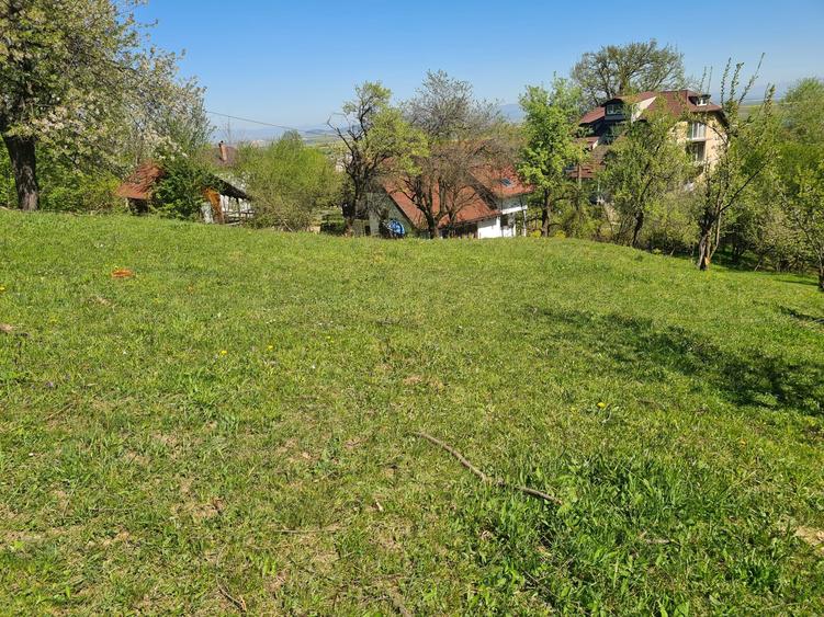 Teren Construcții intravilan de 1500 mp, în Poiana Angelescu