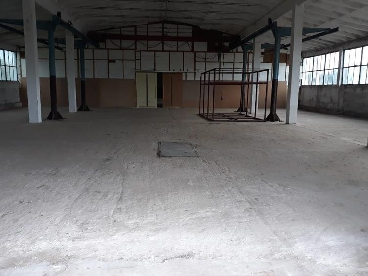 Spațiu industrial, de 500 mp, în Fibiș