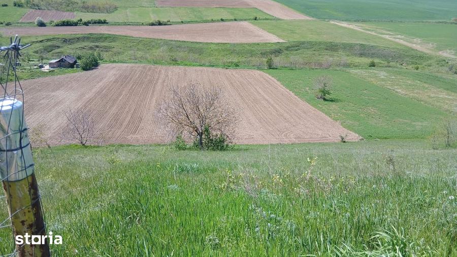 De vanzare casa ?i teren cu o suprafata de 5914 mp, 25.000 euro - 3