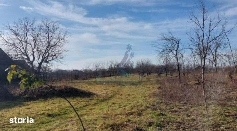 GAMINVEST - Teren intravilan cu livada, Sannicolaul Roman,Bihor, V3076 - 2