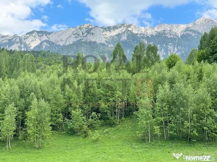 Teren de 12150 mp, în Plaiul Foii