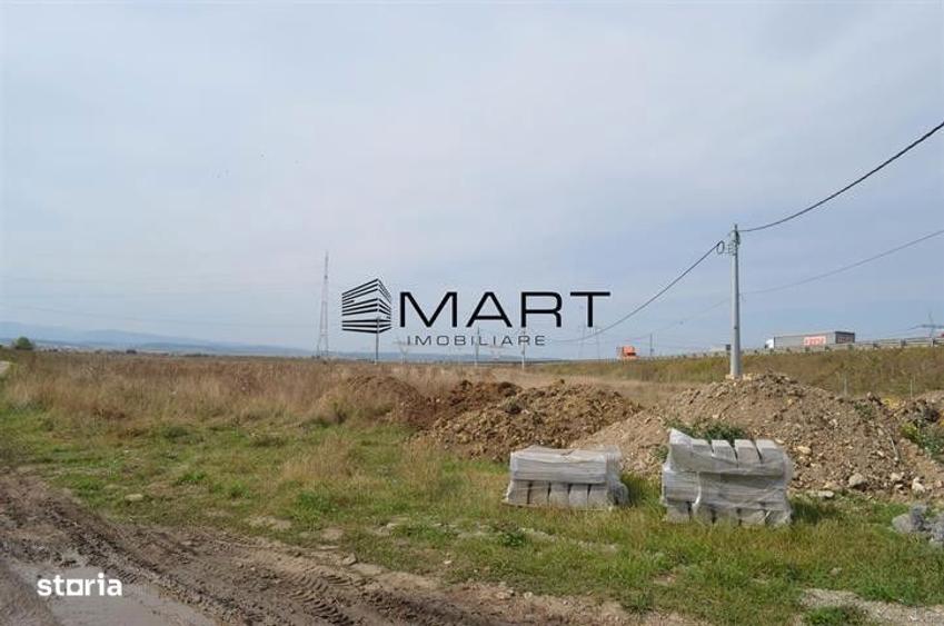 Teren de 6500 mp, în Veterani