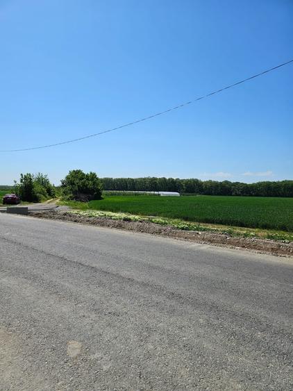 Teren Construcții intravilan de 17714 mp, în Bălteni