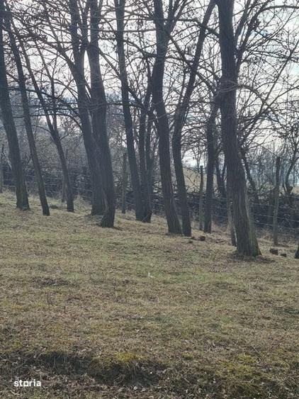 Teren de 4200 mp, în Drajna