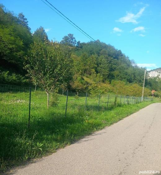 Teren de 7000 mp, în Voia