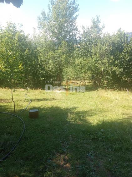 Teren Construcții extravilan de 3200 mp, în Moisei