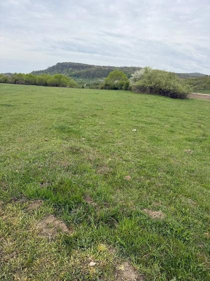 Teren de 5000 mp, în Fughiu