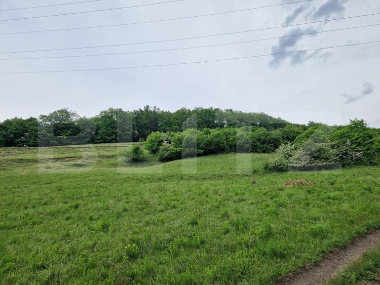 Teren Construcții extravilan de 15000 mp, în Gilău