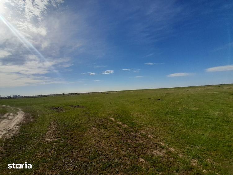 Teren de 30700 mp, în Albota