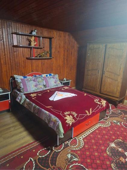 Casă cu 10 camere cu Teren 1500 Mp în Lepșa