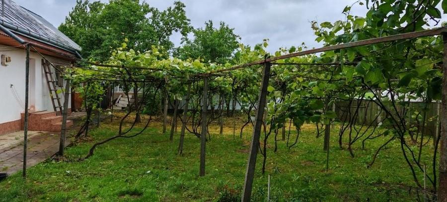 Casă cu 3 camere în Vișan
