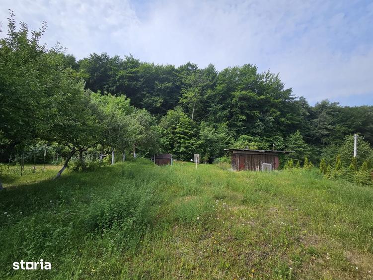 Teren de 1195 mp, în Făget