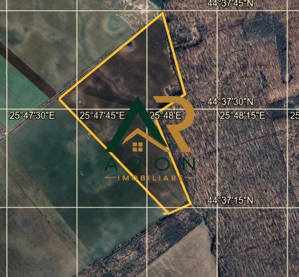 Teren agricol extravilan de 267526 mp, în Tărtășești