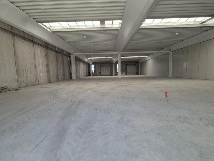 Hală industrială de 1.200 mp de închiriat – Chitila, acces rapid DNCB - 7