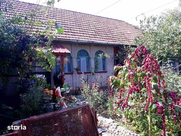 Casă cu 4 camere cu Teren 6287 Mp în Nițchidorf