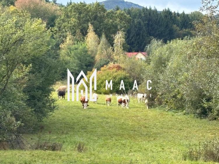 Teren agricol intravilan de 4717 mp, în Sadu