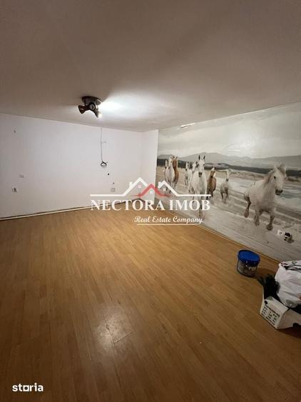 NECTORA IMOB-Casa 5 camere, 2 bai, 2 terase, 180 mp, Episcopia,Utilata - 10