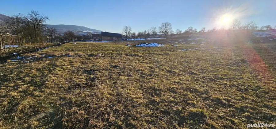 Teren de 3100 mp, în Dumitra