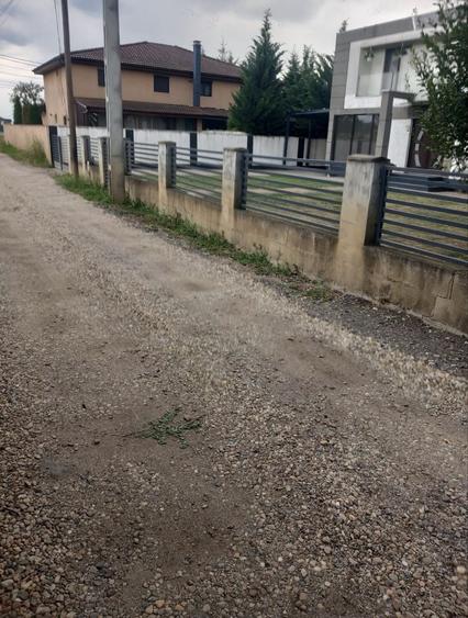 Spațiu comercial, în Păulești