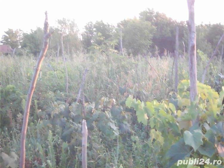 Casă cu 5 camere cu Teren 2800 Mp în Corabia