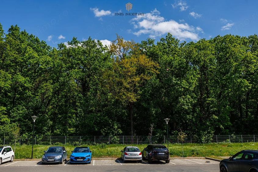 2 camere, vedere spre Padurea Verde | Adora Forest Pet Friendly - 16