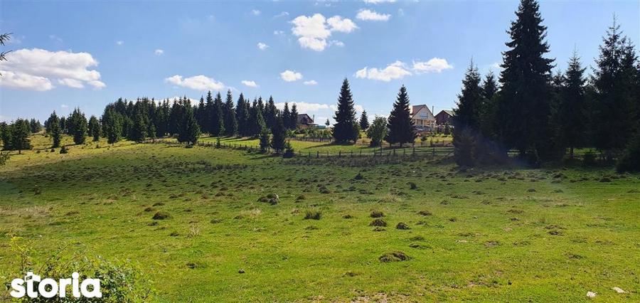 Teren de 1350 mp, în Beliș