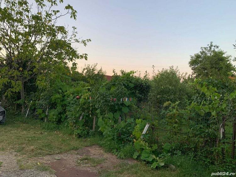 Casă cu 6 camere în Mărăcineanu