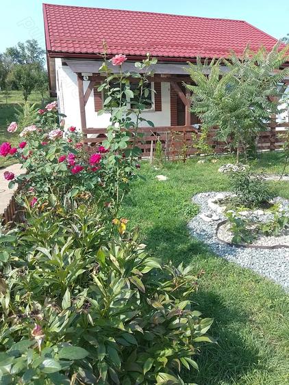 Casă cu 3 camere cu Teren 4434 Mp în Geaca