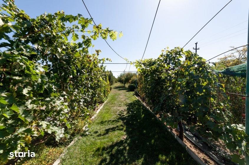 Casă cu 6 camere cu Teren 5000 Mp în Dârmănești