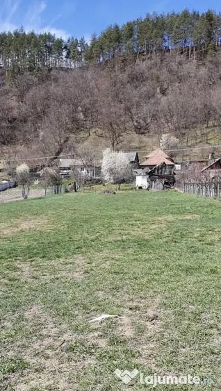 Teren de 1250 mp, în Vlădesti