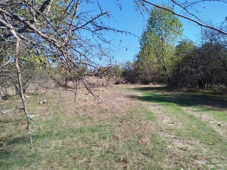 Teren de 8600 mp, în Baia de Fier