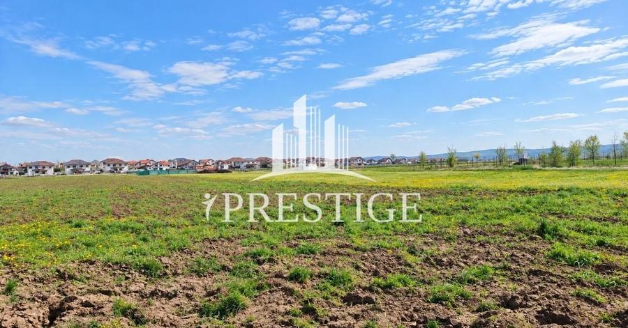 Teren agricol extravilan de 10000 mp, în Șura Mică