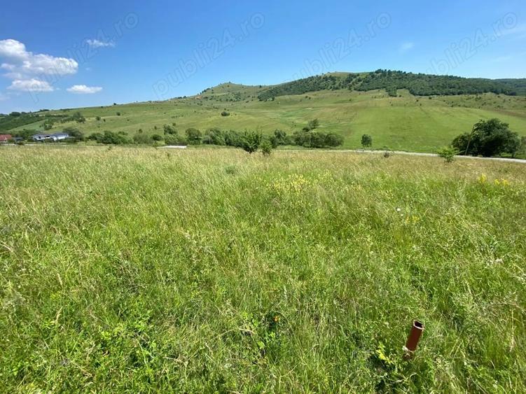 Teren de 1100 mp, în Sălicea